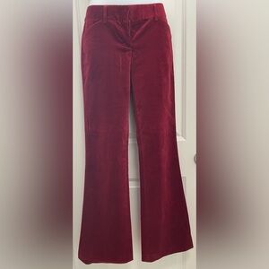 Express Design Studio Velvet Bootcut Pants in Burgundy
